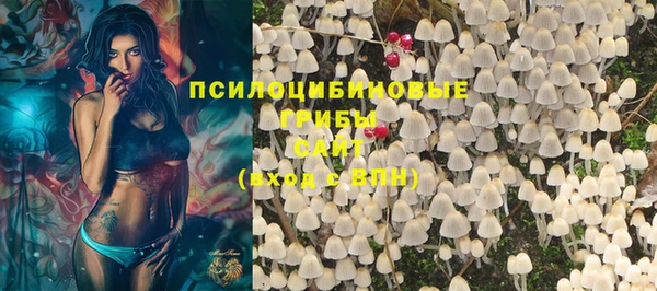 apvp Сафоново